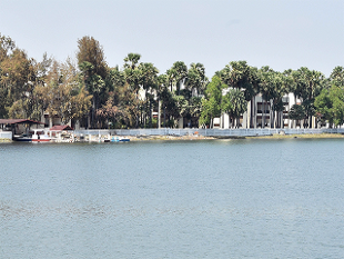 ರೆಸಾರ್ಟ್‌ನ ಹೊರಗೆ ತಮ್ಮ ಕುಟುಂಬ ಸದಸ್ಯರನ್ನು ಭೇಟಿಯಾದ ಶಶಿಕಲಾ ನಿಷ್ಠ ಎಐಎಡಿಎಂಕೆ ಶಾಸಕರು