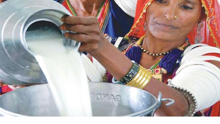 ಬರ: ಹಾಲು ಉತ್ಪಾದನೆಯಲ್ಲಿ 1.28 ಲಕ್ಷ ಲೀ. ಇಳಿಕೆ