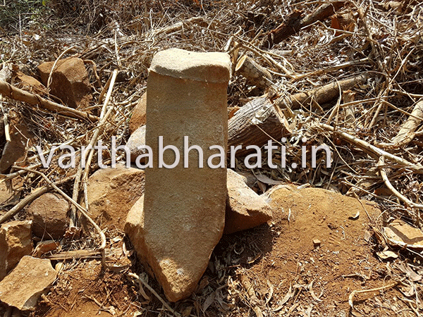 ರಕ್ಷಿತಾರಣ್ಯದಲ್ಲಿ ವಿಶಿಷ್ಟ ಪ್ರಾಚೀನ ಶಿಲೆಗಳು ಪತ್ತೆ