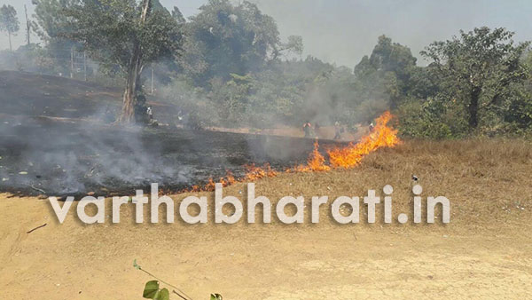 ಮರ್ಧಾಳ: ಗುಡ್ಡಕ್ಕೆ ಬೆಂಕಿ