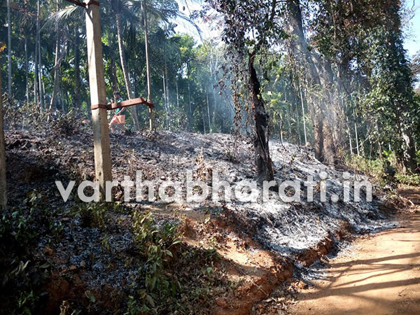 ಕೊಂಬಾರು: ಶಾರ್ಟ್ ಸರ್ಕ್ಯೂಟ್‌ನಿಂದ ಕೃಷಿ ನಾಶ, ಲಕ್ಷಾಂತರ ರೂ. ನಷ್ಟ