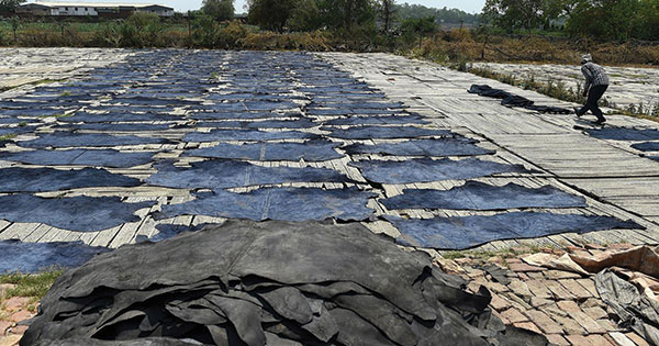 ಕಾಂತಿ ಕಳೆದುಕೊಳ್ಳುತ್ತಿರುವ ಕಾನ್ಪುರ ಚರ್ಮೋದ್ಯಮ