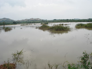 ಕಾರ್ಕಳ: ಕೆರೆಗೆ ಬಿದ್ದು ಮೃತ್ಯು