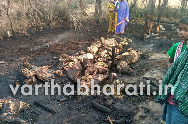 ಆಕಸ್ಮಿಕ ಬೆಂಕಿ: ಸಜೀವ ದಹನವಾದ ಕುರಿಗಳು