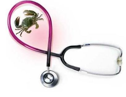 ಮಹಿಳೆಯರಲ್ಲಿ ಕ್ಯಾನ್ಸರ್ ಅಪಾಯ 6 ಪಟ್ಟು ಹೆಚ್ಚಾಗುವ ಸಾಧ್ಯತೆ