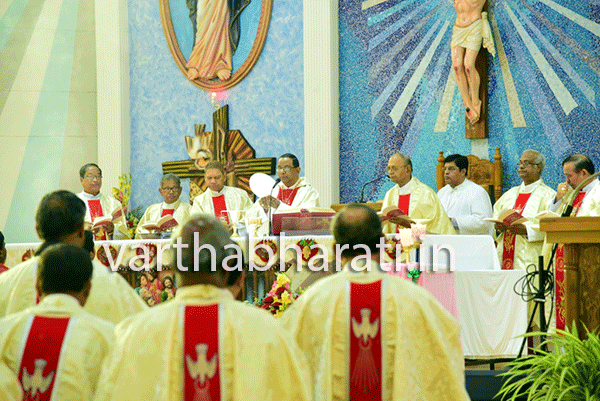 ದೈವಾನುಭೂತಿಯ ದಿವ್ಯಾನುಭವದ ಬಗ್ಗೆ ಇತರರಿಗೆ ವಿವರಿಸಿ : ಕಾರ್ಡಿನಲ್ ಟೊಪ್ಪೊ