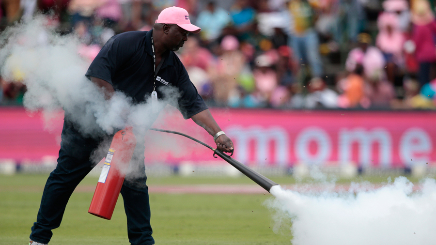 ಹೆಜ್ಜೇನು ದಾಳಿಗೆ ಒಂದು ಗಂಟೆ  ಕ್ರಿಕೆಟ್ ಪಂದ್ಯ ಸ್ಥಗಿತ!