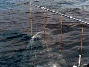 ಸಮುದ್ರಕ್ಕೆ ತೈಲ ಸೋರಿಕೆ ಘಟನೆಗೆ ಮಾನವ ತಪ್ಪು ಕಾರಣ: ಜಯಕುಮಾರ್