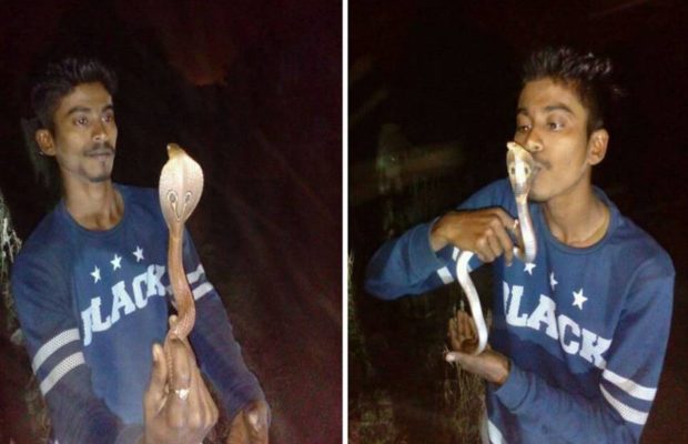 ತಾನೇ ರಕ್ಷಿಸಿದ ನಾಗರ ಹಾವಿನ ತಲೆಗೆ ಆತ  ಮುತ್ತಿಟ್ಟ ಬಳಿಕ ಏನಾಯಿತು ನೋಡಿ