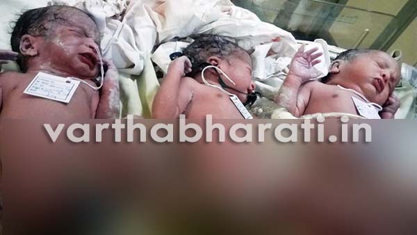 ಶಿವಮೊಗ್ಗ: ತ್ರಿವಳಿ ಮಕ್ಕಳಿಗೆ ಜನ್ಮವಿತ್ತ ತಾಯಿ