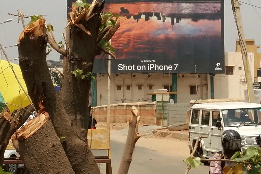 ಬೆಂಗಳೂರು : ಜಾಹೀರಾತು ಫಲಕ ಹಾಕಲು 17ಕ್ಕೂ ಹೆಚ್ಚು ಮರಗಳಿಗೆ ಆ್ಯಸಿಡ್ ಹಾಕಿ ನಾಶ !