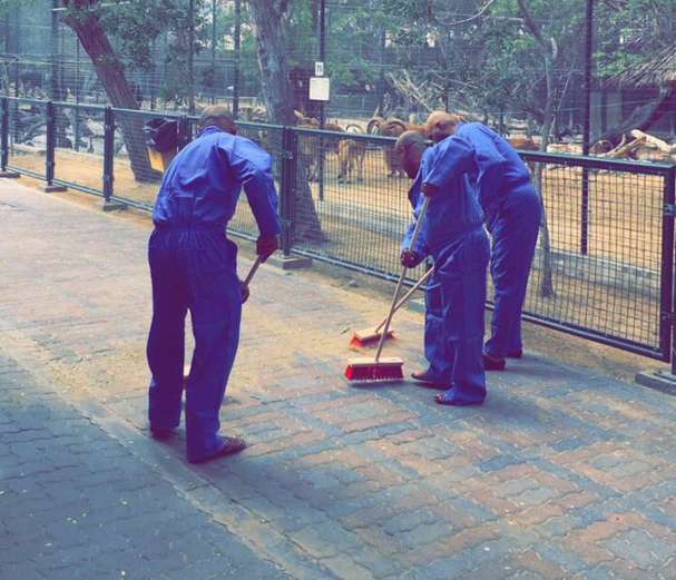 ನಾಯಿಗಳಿಗೆ ಜೀವಂತ ಬೆಕ್ಕನ್ನು ಅಹಾರವಾಗಿ ನೀಡಿದವರಿಗೆ ಶಿಕ್ಷೆ