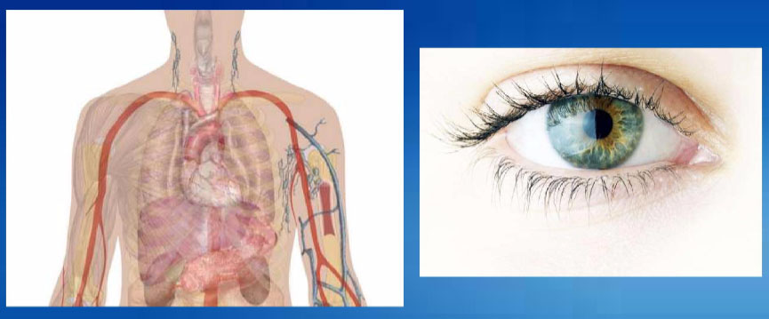 ಮನುಷ್ಯನ ಕಣ್ಣುಗಳಂತೆ ಚರ್ಮವೇಕೆ ಪಾರದರ್ಶಕವಲ್ಲ...?