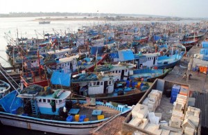 ಉಡುಪಿ: ಮೀನುಗಾರಿಕಾ ಇಲಾಖೆಗೆ 596.51ಲಕ್ಷ ರೂ. ಅನುದಾನ ಬಿಡುಗಡೆ