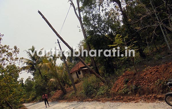 ಎಚ್‌ಟಿ ಲೈನ್ ಮೇಲೆ ಮರ ಬಿದ್ದು ವಾರ ಕಳೆದರೂ ಸ್ಪಂದಿಸದ ಮೆಸ್ಕಾಂ