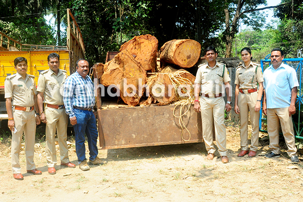 ಅಕ್ರಮ ಮರ ಸಾಗಾಟ : ಇಬ್ಬರ ಬಂಧನ