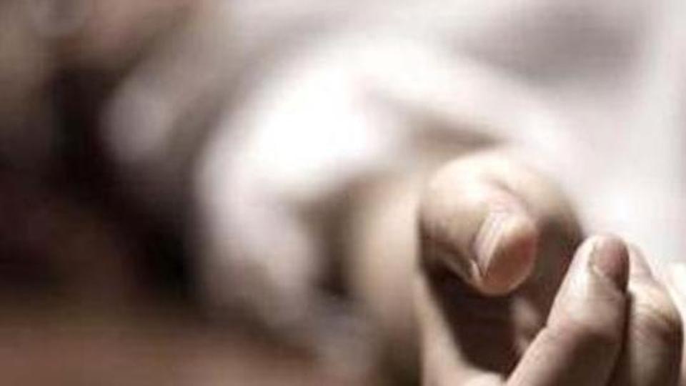 ಅಮೆರಿಕದಲ್ಲಿ ಆಂಧ್ರ ಪ್ರದೇಶದ ತಾಯಿ-ಮಗನ ಕೊಲೆ