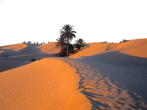 ಸಹಾರಾ : ಒಂದಾನೊಂದು ಕಾಲದಲ್ಲಿ...