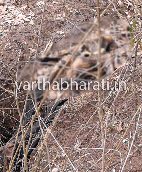 ಮೇರಮಜಲು: ಕೊಳೆತ ಸ್ಥಿತಿಯಲ್ಲಿ ಅಪರಿಚಿತ ಮೃತದೇಹ ಪತ್ತೆ