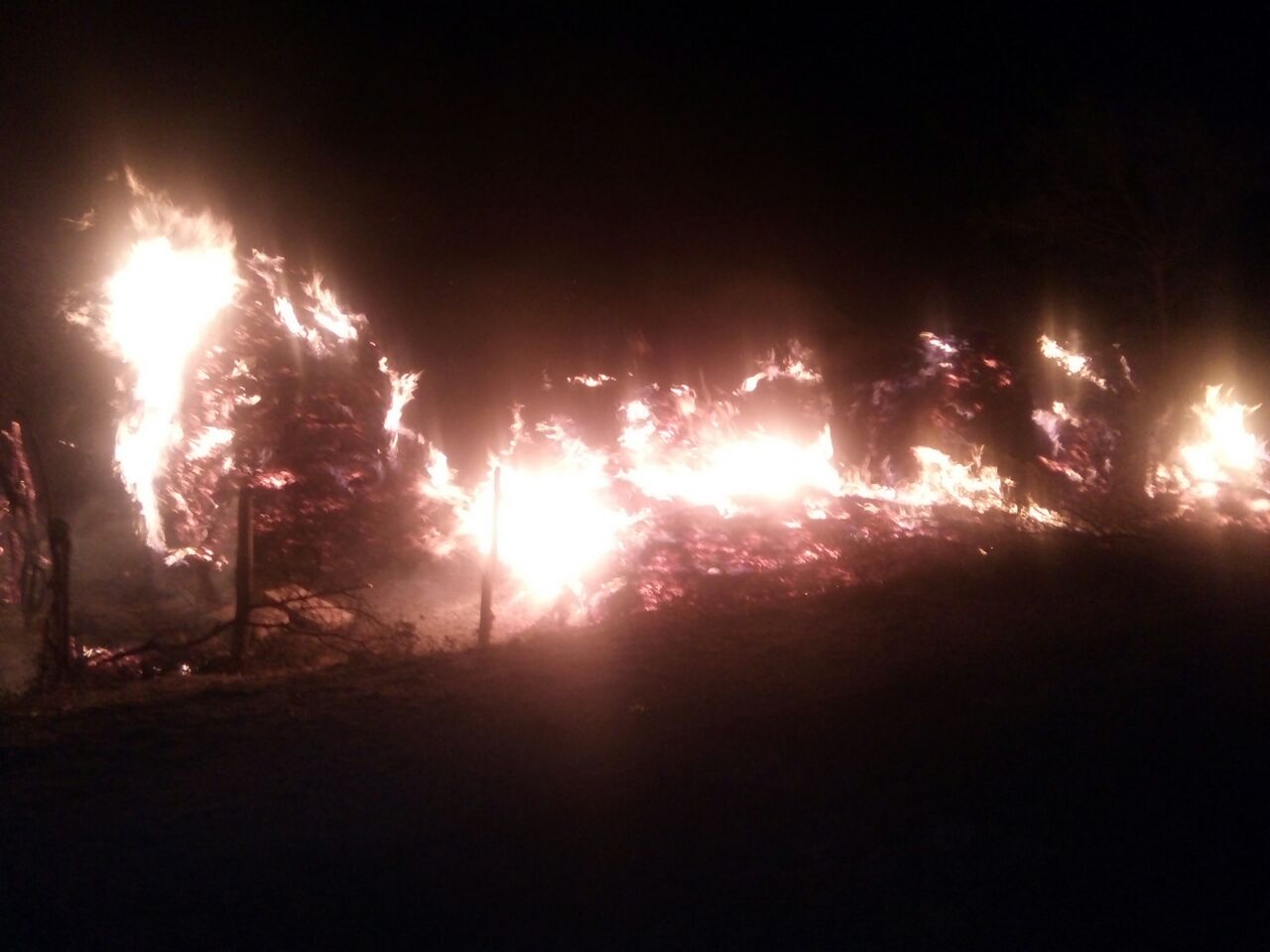 ​ಆಕಸ್ಮಿಕ ಬೆಂಕಿಗೆ 4 ಬಣವೆ ಸುಟ್ಟು ಭಸ್ಮ