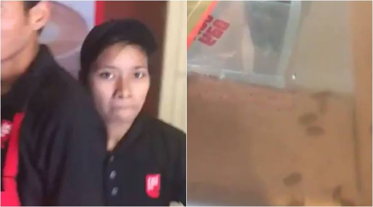 ಜೈಪುರದ ಕೆಫೆ ಕಾಫಿ ಡೇ ರೆಸ್ಟಾರೆಂಟಿನ ಫ್ರಿಜ್ಜಿನಲ್ಲಿದ್ದವು ಜಿರಳೆಗಳು !