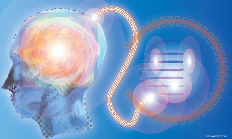 ಕಂಪ್ಯೂಟರ್‌ಗಳನ್ನು ಮಾನವ ಮೆದುಳಿಗೆ ಜೋಡಿಸುವ ಕಂಪೆನಿ ಸ್ಥಾಪನೆ!