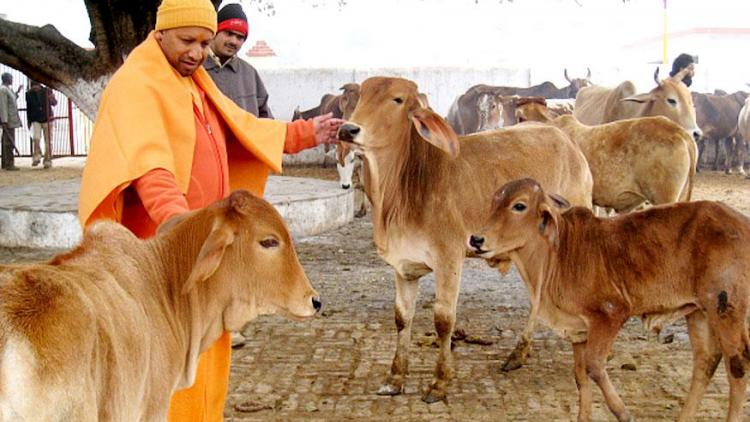 ಎಸ್ಪಿ ನಾಯಕನ ಪುತ್ರನ ಜಾನುವಾರು ಸಂರಕ್ಷಣಾ ಕೇಂದ್ರಕ್ಕೆ ಭೇಟಿನೀಡಲಿರುವ ಆದಿತ್ಯನಾಥ್