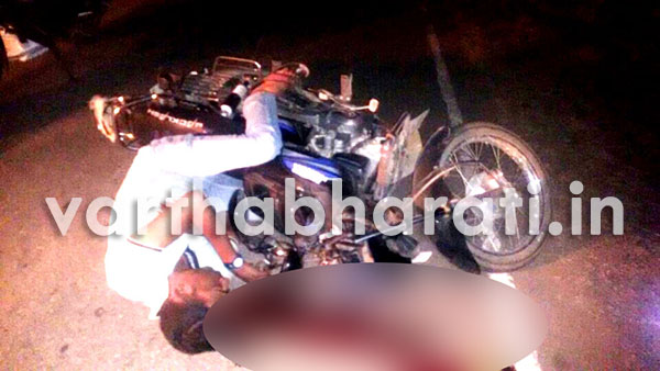 ಕಾಡುಹಂದಿ ಢಿಕ್ಕಿ: ಬೈಕ್ ಸವಾರ ಸ್ಥಳದಲ್ಲೇ ಸಾವು