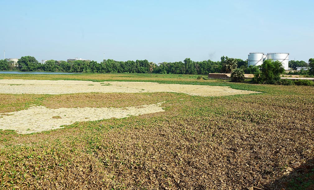 ಮಂಗಳೂರು: ಕೆರೆಗಳ ಅಭಿವೃದಿಗೆ ಮೀನಮೇಷ