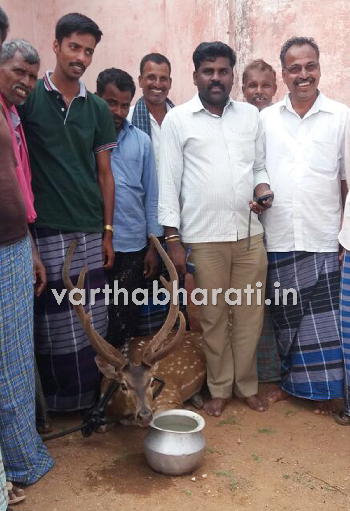 ಬೀದಿ ನಾಯಿ ದಾಳಿಗೆ ಸಿಲುಕಿದ್ದ ಜಿಂಕೆ ರಕ್ಷಣೆ