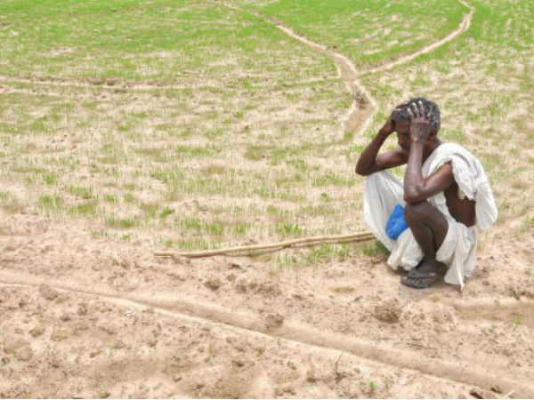 ಚತ್ತೀಸ್‌ಗಡ: 3 ವರ್ಷಗಳಲ್ಲಿ 252 ರೈತರ ಆತ್ಮಹತ್ಯೆ