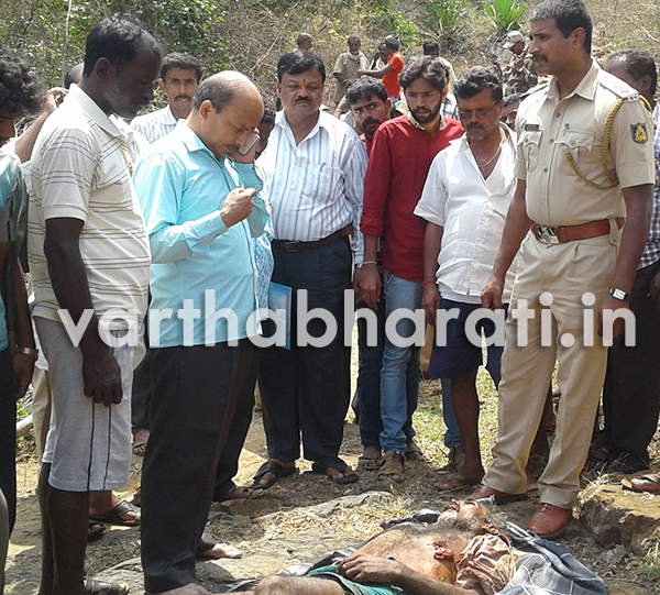 ಆನೆ ತುಳಿತ : ವ್ಯಕ್ತಿ ಸಾವು