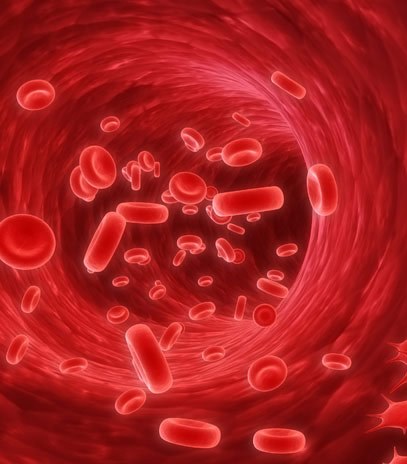 ಅಪರೂಪದ ರೋಗಗಳ ಚಿಕಿತ್ಸೆಗಾಗಿ ರಾಷ್ಟ್ರೀಯ ಕರಡು ನೀತಿ ಬಗ್ಗೆ ಚರ್ಚೆ