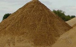 ಅಕ್ರಮ ಮರಳು ಸಾಗಾಟ: 11 ಲಾರಿಗಳು ಪೊಲೀಸ್ ವಶ