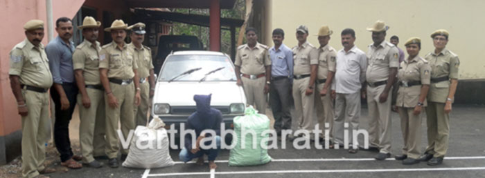 ಅಡಿಕೆ ಕಳವು ಆರೋಪಿಯ ಬಂಧನ