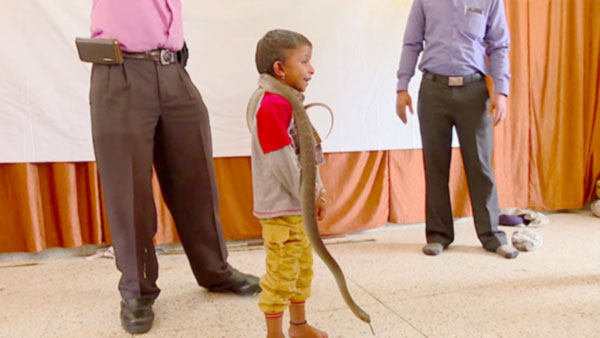 ಮಕ್ಕಳಿಗೆ ಹಾವುಗಳ ಬಗ್ಗೆ ಉಪಯುಕ್ತ ಮಾಹಿತಿ ನೀಡಿದ ವಿಶಿಷ್ಟ ಬೇಸಿಗೆ ಶಿಬಿರ