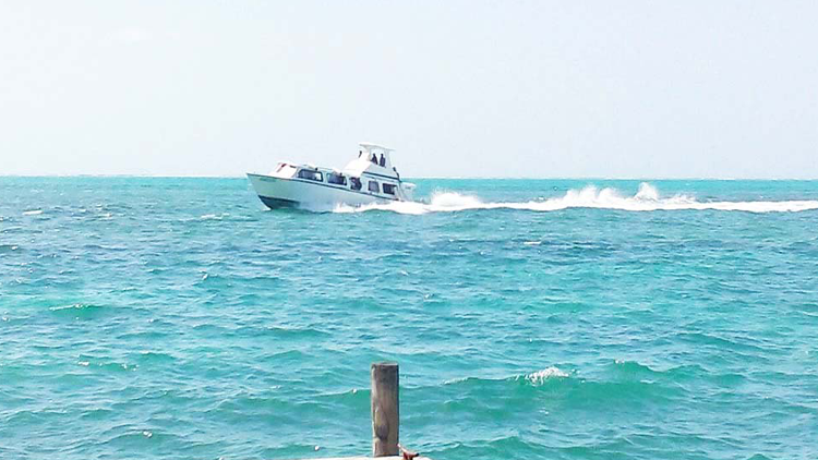 ಕತರ್‌ನಲ್ಲಿ ಸಮುದ್ರ ಟ್ಯಾಕ್ಸಿ!