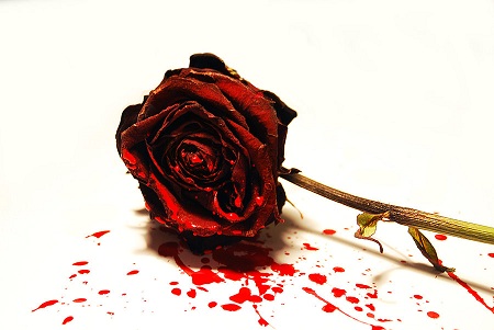 ​ಯುವಕನಿಂದ ಪ್ರೀತಿ ನಿರಾಕರಣೆ: ಯುವತಿ ಆತ್ಮಹತ್ಯೆ