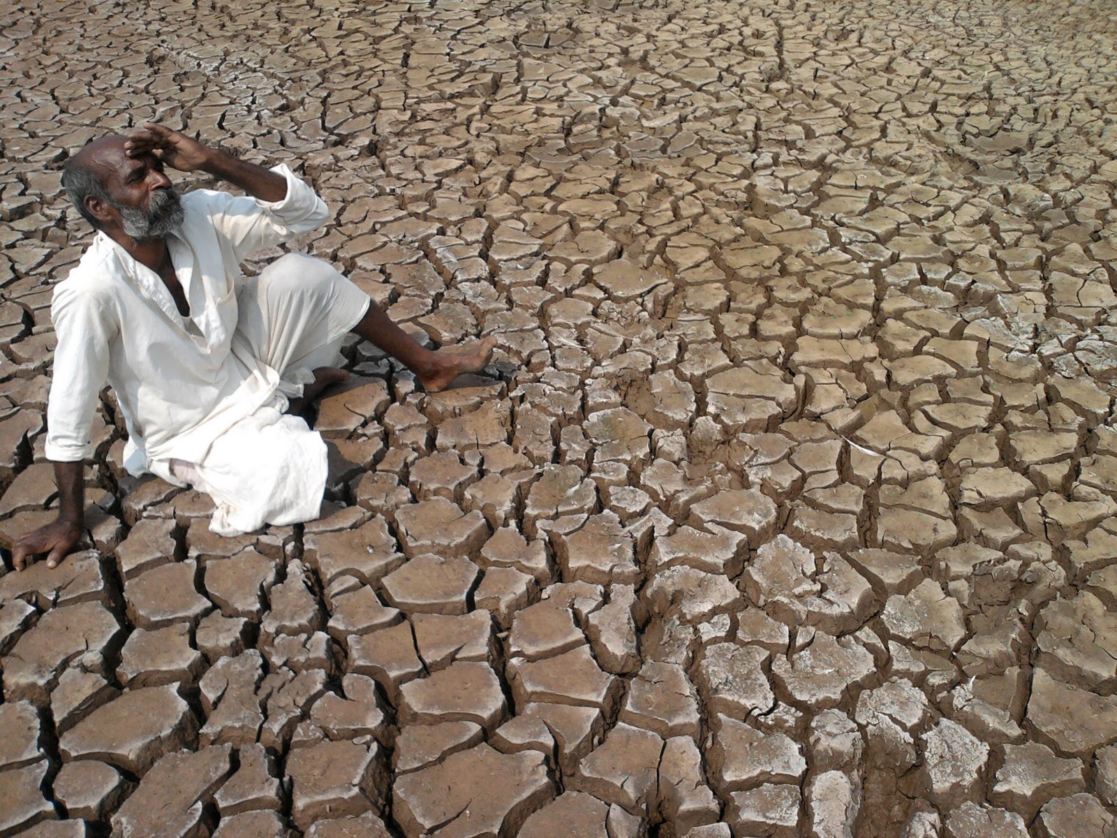 ಕೇಳಿದ್ದು 4,702ಕೋಟಿ ರೂ., ಕೊಟ್ಟಿದ್ದು 1,782ಕೋಟಿ ರೂ. : ಬರ ಪರಿಹಾರ ವಿತರಣೆಯಲ್ಲಿ ರಾಜ್ಯಕ್ಕೆ ಅನ್ಯಾಯ