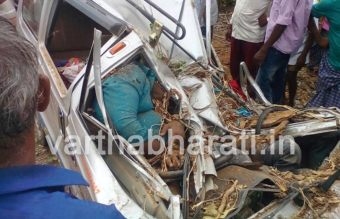 ಕಾರಿನ ಮೇಲೆ ಬಿದ್ದ ಆಲದ ಮರ: ಇಬ್ಬರು ಮೃತ್ಯು