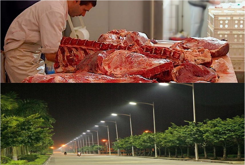 ಪರಿಸರ ಸ್ನೇಹಿ ವಿಧಾನ: ಮುಂಬೈ ಕಸಾಯಿಖಾನೆಗಳ ಪ್ರಾಣಿತ್ಯಾಜ್ಯದಿಂದ 160 ಬೀದಿದೀಪಗಳನ್ನು ಉರಿಸಬಹುದು