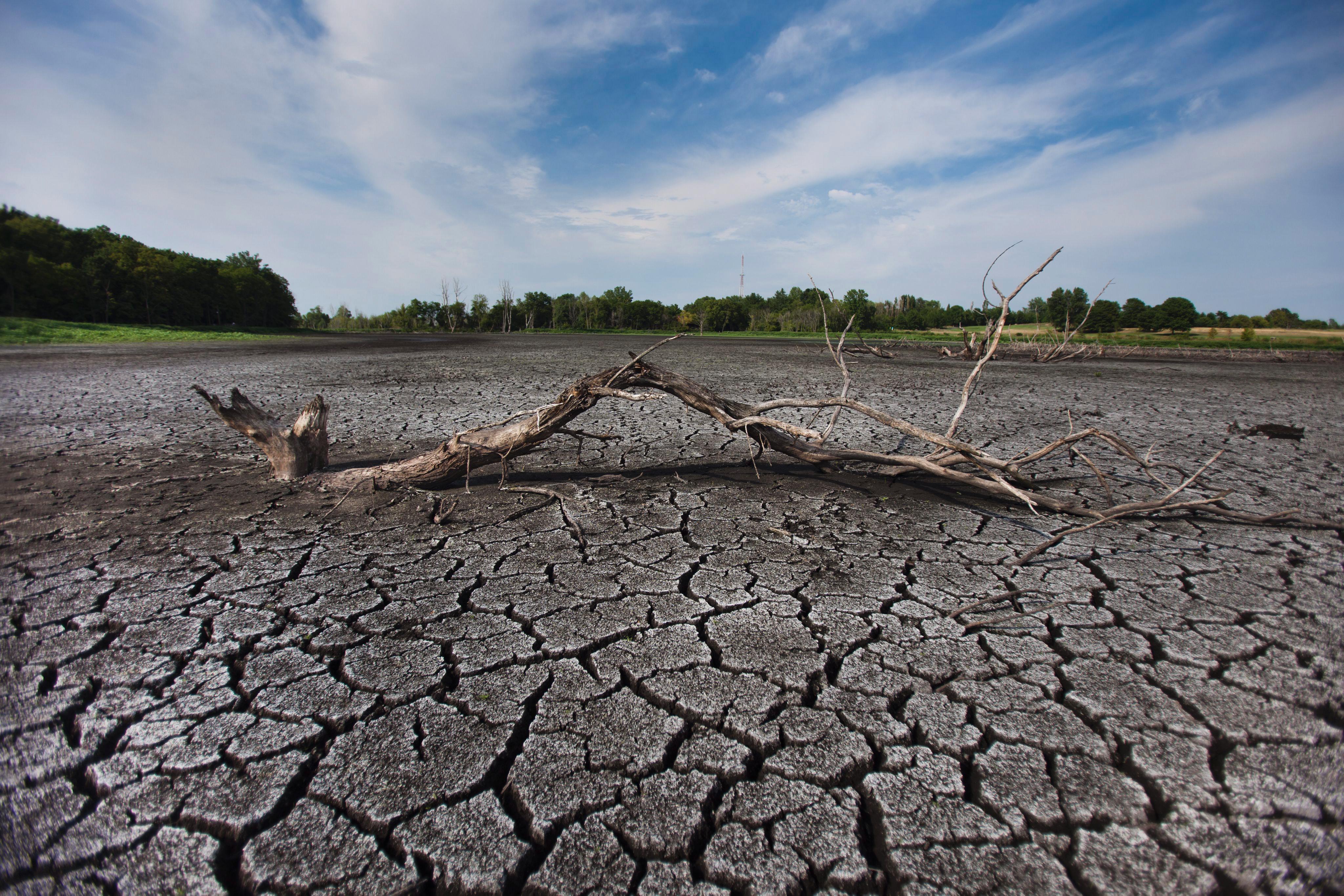 ಕ್ಷಾಮ ಡಂಗುರ
