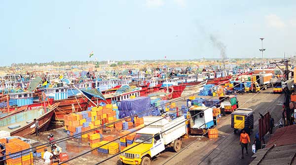 ಮೀನುಗಳ ಸಂತತಿ ವಿನಾಶದ ಭೀತಿಯಲ್ಲಿ ಮೀನುಗಾರರು