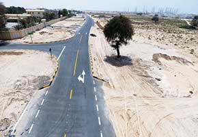 200ವರ್ಷ ಹಳೆಯ ಮರ ಸಂರಕ್ಷಣೆಗಾಗಿ ರಸ್ತೆಯನ್ನೇ ತಿರುಗಿಸಿದರು!