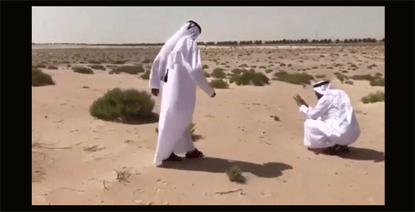 ಪಕ್ಷಿಯನ್ನು ರಕ್ಷಿಸಲು ಯೋಜನೆಯ ಸ್ಥಳವನ್ನೇ ಬದಲಾಯಿಸಿದರು !