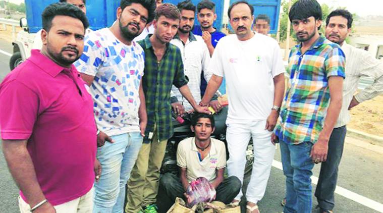 ‘ಗೋರಕ್ಷಕರನ್ನು ನಿಯಂತ್ರಿಸದಿದ್ದರೆ ಹಿಂಸಾಚಾರದ ಸಾಧ್ಯತೆ’