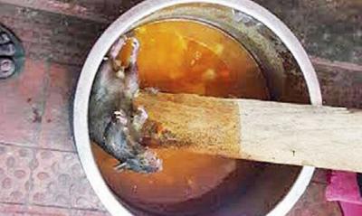 ಸಾಂಬಾರಿಗೆ ಬಿದ್ದ ಸತ್ತ ಇಲಿ ಸಣ್ಣದು ಎಂದ ಬೆಂಗಳೂರಿನ ಮೇಯರ್