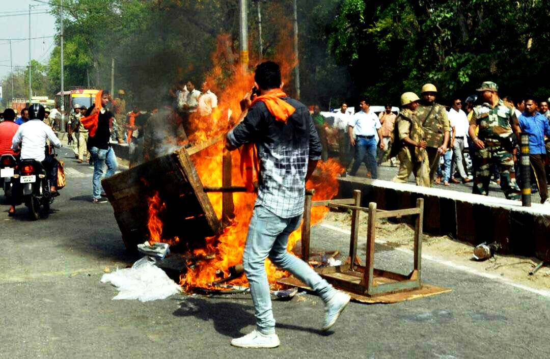 ಮುಸ್ಲಿಮರನ್ನು ಹಂದಿಗಳಿಗೆ ಹೋಲಿಸಿದ್ದ ಬಿಜೆಪಿ ಸಂಸದ : ವರದಿಯಲ್ಲಿ ಉಲ್ಲೇಖ