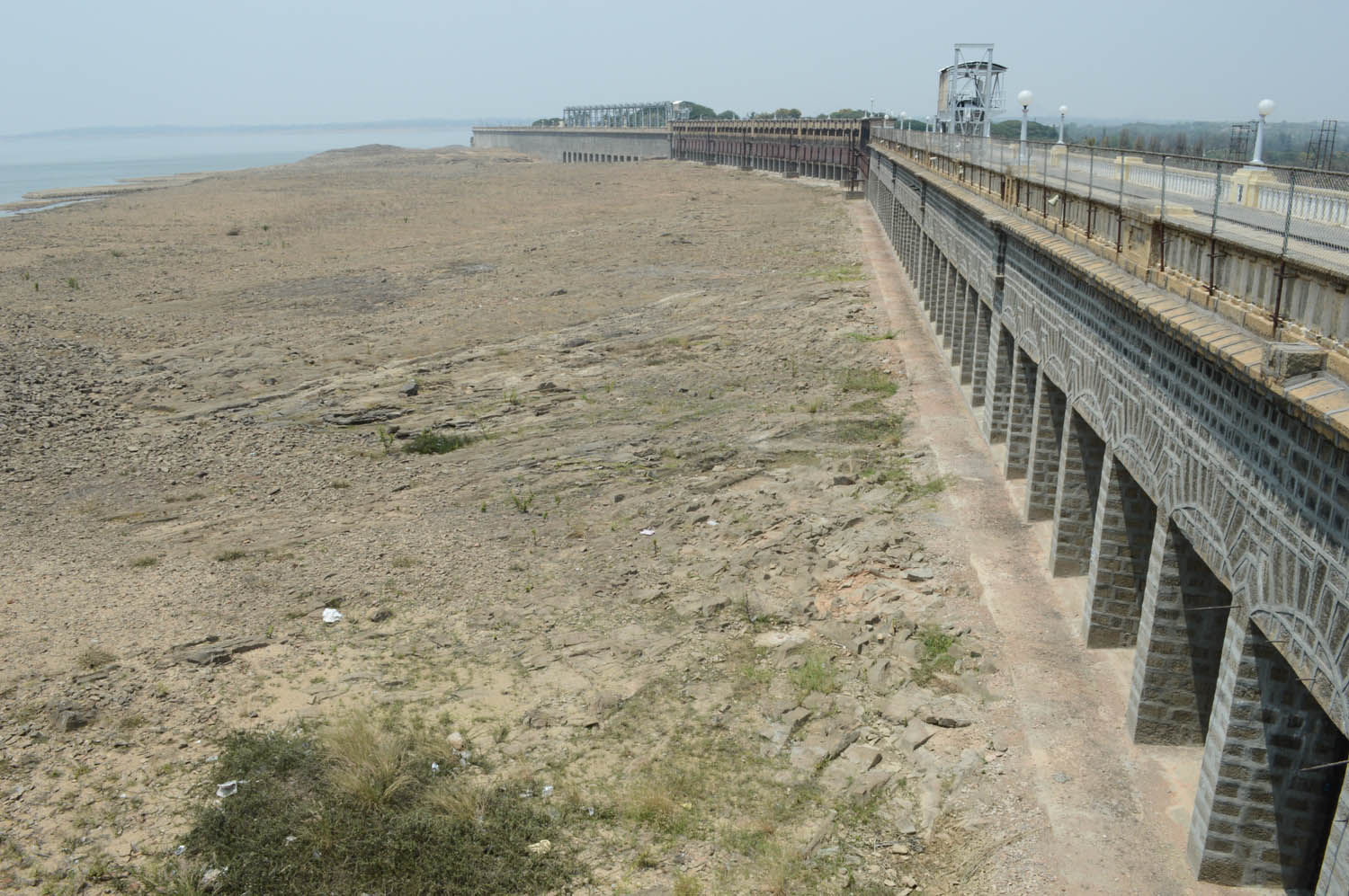 ಮಂಡ್ಯ: ರಣಬಿಸಿಲಿಗೆ ಜನಜಾನುವಾರು, ಪ್ರಾಣಿಪಕ್ಷಿ ತತ್ತರ ನೀರು, ಮೇವಿಗೆ ಹಾಹಾಕಾರ; ಬತ್ತಿದ ಕೆರೆಕಟ್ಟೆ, ಹಳ್ಳಕೊಳ್ಳಗಳು ಮಂಡ್ಯ: ರಣಬಿಸಿಲಿಗೆ ಜನಜಾನುವಾರು, ಪ್ರಾಣಿಪಕ್ಷಿ ತತ್ತರ ನೀರು, ಮೇವಿಗೆ ಹಾಹಾಕಾರ; ಬತ್ತಿದ ಕೆರೆಕಟ್ಟೆ, ಹಳ್ಳಕೊಳ್ಳಗಳು