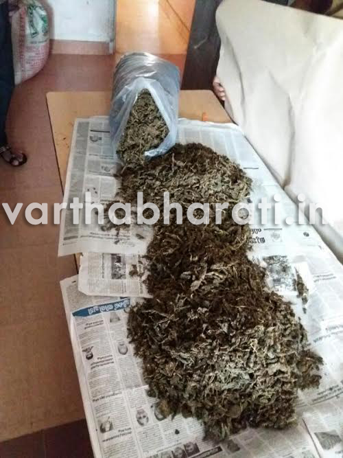 6 ಕಿಲೋ ಗಾಂಜಾ ಸಹಿತ ಇಬ್ಬರು ವಶಕ್ಕೆ